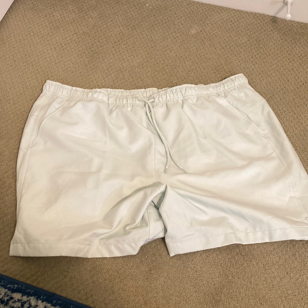 NWT DSG LIGHT GREEN MEN TRAINING SHORTS